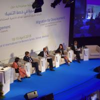 Thematic Workshop on Migration for Sustainable Development